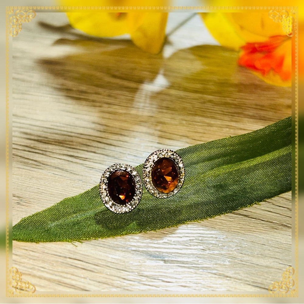 Radiant Brown Gemstone Earrings